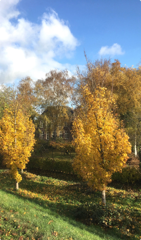 Het tweede huis - steun ons - vrienden